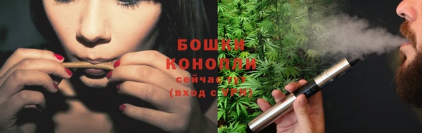 spice Арсеньев