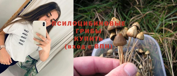 метамфетамин Аркадак