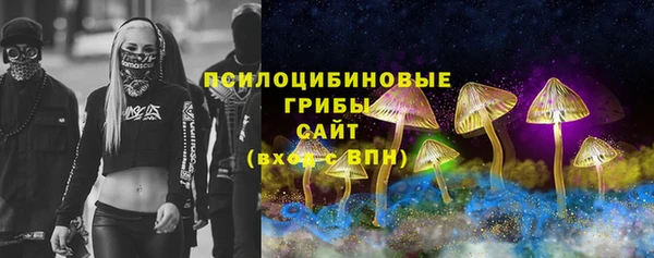 spice Арсеньев